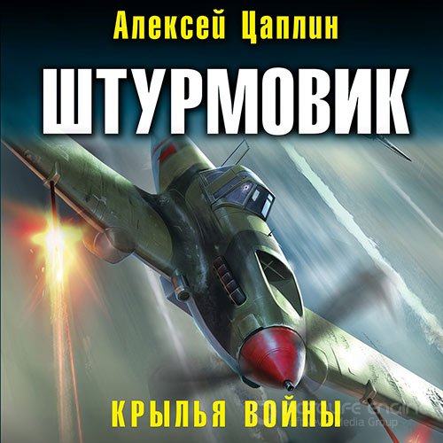 Цаплин Алексей. Штурмовик. Крылья войны (Аудиокнига)