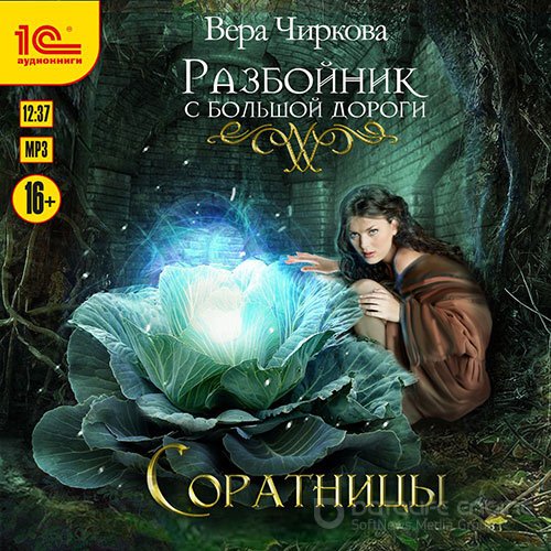 Чиркова Вера. Разбойник с большой дороги. Соратницы (Аудиокнига)