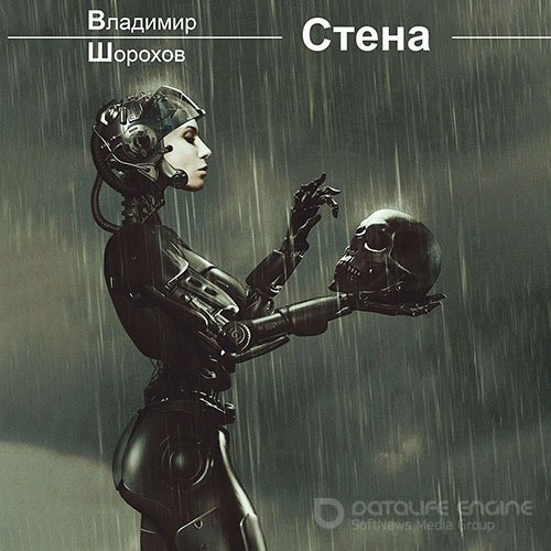 Шорохов Владимир. Стена (Аудиокнига)